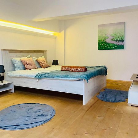 The Central Apartament Apartment Клуж-Напока Екстериор снимка