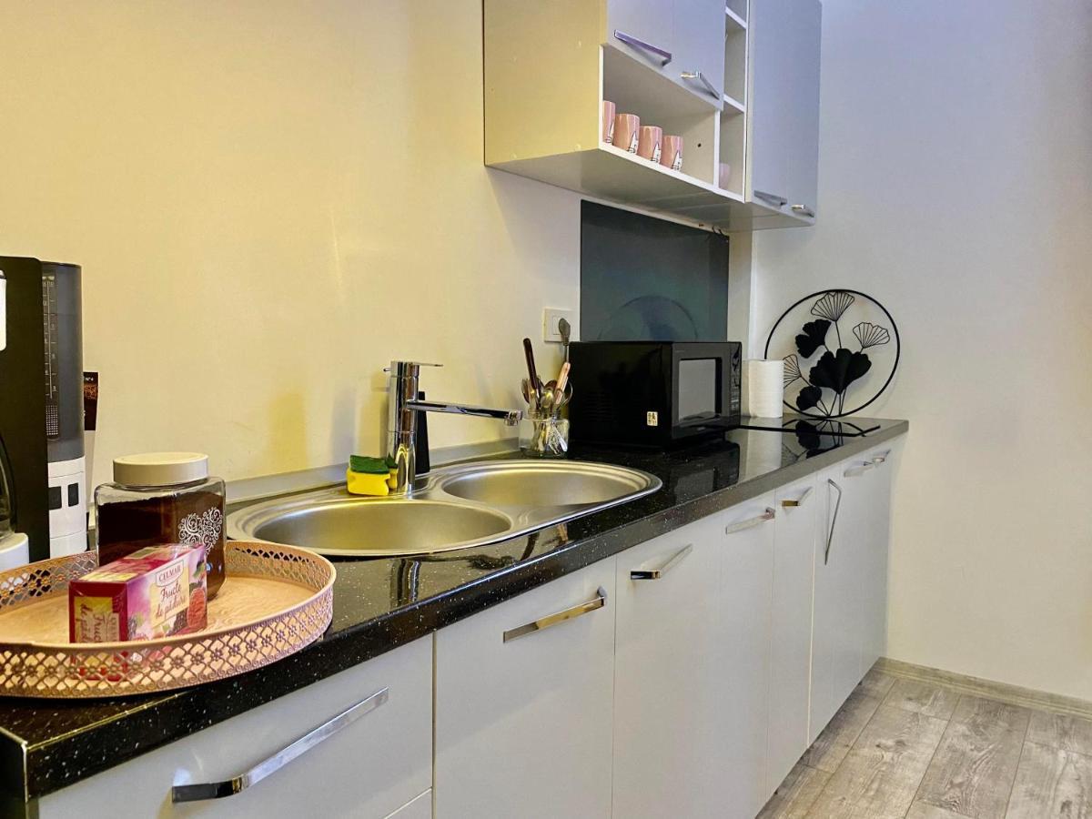 The Central Apartament Apartment Клуж-Напока Екстериор снимка