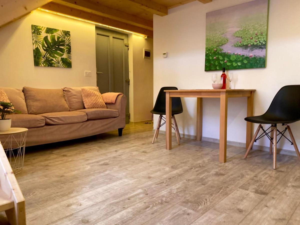 The Central Apartament Apartment Клуж-Напока Екстериор снимка