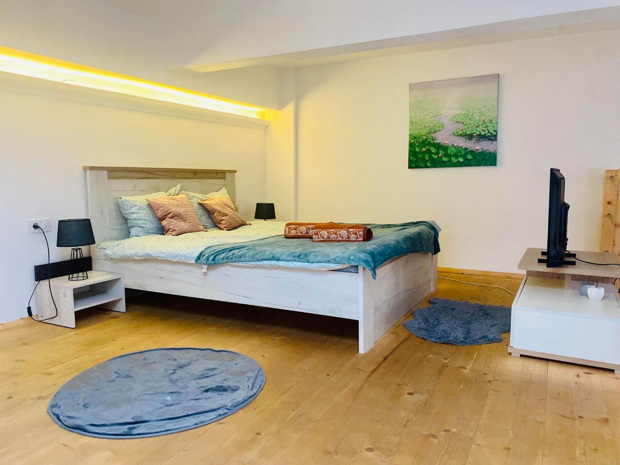 The Central Apartament Apartment Клуж-Напока Екстериор снимка